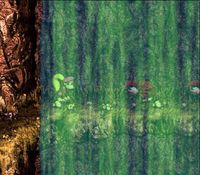 Donkey Kong Country 3 sur Nintendo Super Nes